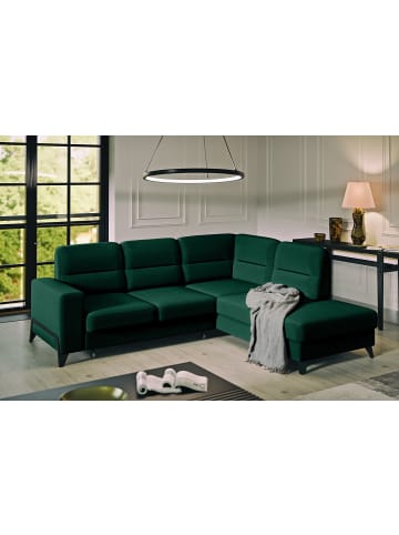 MF Design Cassada Recamiere Rechts in Smaragd -  (L) 237 x (B) 277 x (H) 100 cm