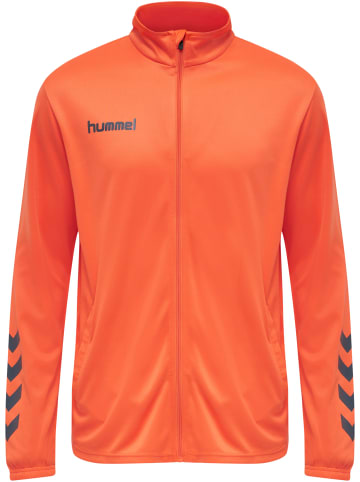 Hummel Hummel Anzug Hmlpromo Multisport Herren in NASTURTIUM/OMBRE BLUE