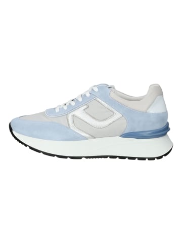 Nero Giardini Sneaker in Blau/Weiß