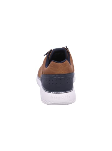 Bugatti Sneaker Dexter in Braun