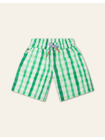 Oilily Hose Plank in Grün