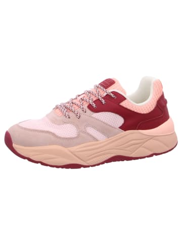 Scotch & Soda Sneaker Celest in Rosa