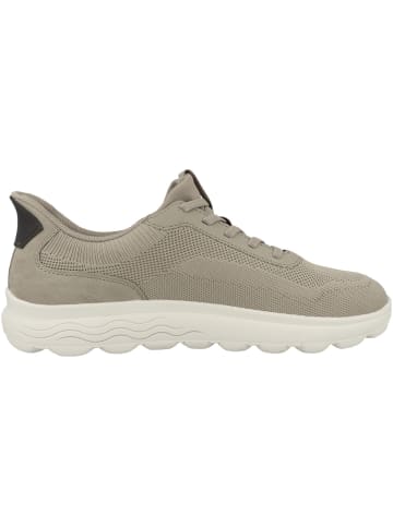 Geox Sneaker low U Spherica Plus A in beige