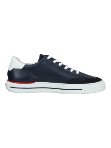 Paul Green Sneaker in Dunkelblau