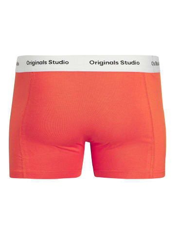 JACK & JONES Junior 3er-Pack Boxershorts in Black