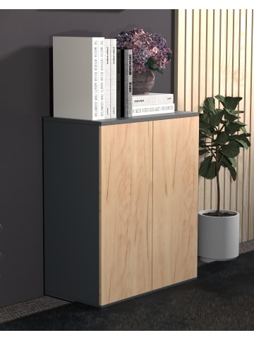 VCM  Kommode Sideboard Dalosa 2 Drehtüren in Anthrazit / Honig-Eiche