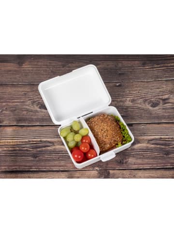 elasto Vorratsdose "School-Box" 1100 ml in blau - mit Motiv