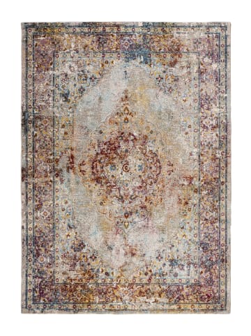 Vivorum Wohnzimmer Kurzflor Teppich Blazing Star 325 in multi