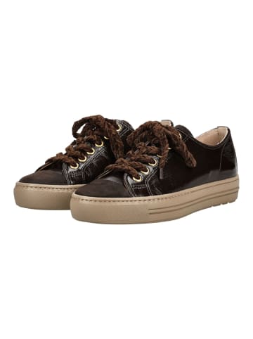 Paul Green Sneaker in Braun