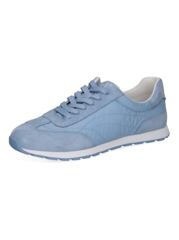 Caprice Sneaker in Mittelblau