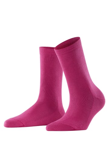 Falke Socken Family in Berry