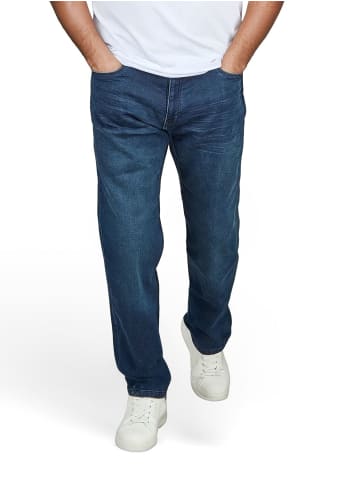 DENIMFY Jeans DFAlvin regular/straight in Blau