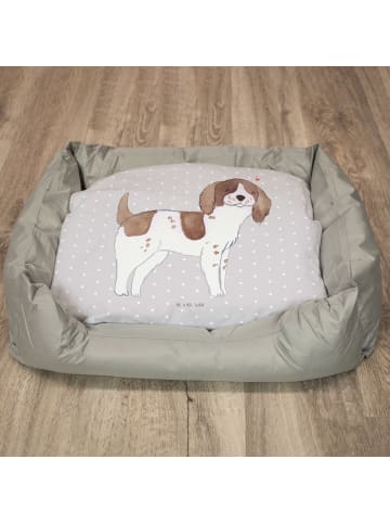 Mr. & Mrs. Panda Hundekörbchen English Springer Spaniel Lebensre... in Grau Pastell
