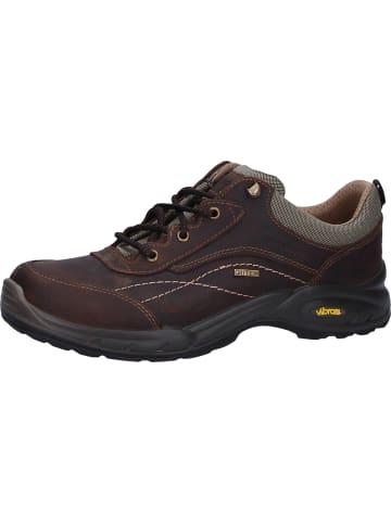 Grisport Wanderschuhe Schnürschuh Gritex in braun in braun