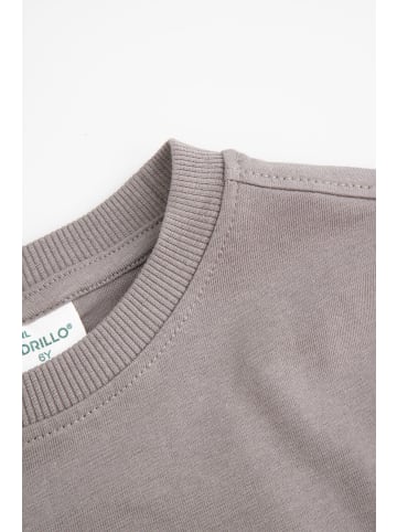 Coccodrillo T-Shirt mit langen Ärmeln in grau