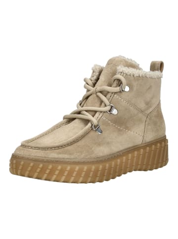 Paul Green Stiefelette in Grau/Braun