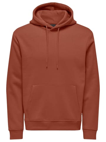 ONLY & SONS Sweatshirt / Hoodie Connor in Sequoia