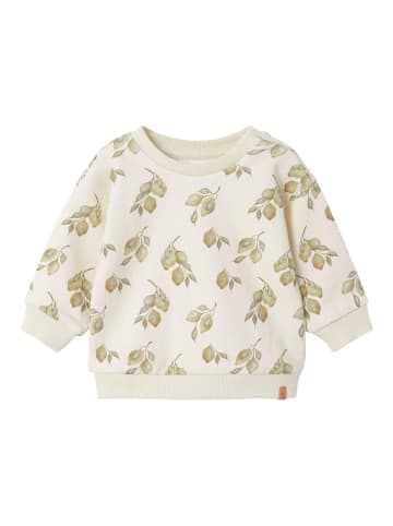 name it Sweatshirt in Turtledove