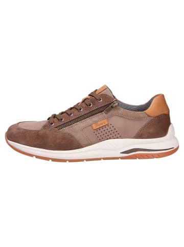 Sioux Sneaker in braun