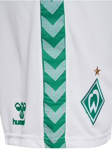 Hummel Hummel Kurze Hose Wer 23/24 Fußball Erwachsene Schnelltrocknend in WHITE