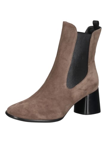 Högl Stiefelette in Taupe