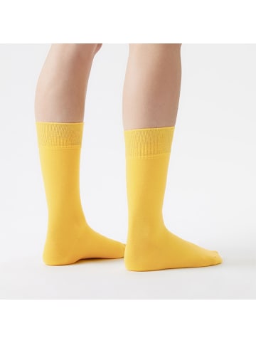 von Jungfeld Classic Socken-Set Signature Innenbund in Rainbowstreet