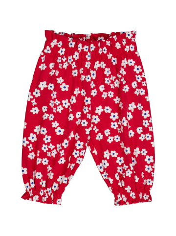 Fred´s World by GREEN COTTON Babyhose in Salsa/White/Surf