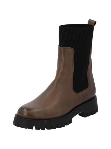 palado Stiefeletten in cappucino