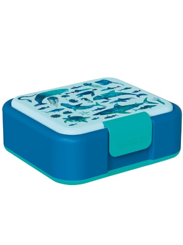 COFI 1453 Quokka Twist Kids Brotdose Doppelwand Kinder Lunchbox 4-Fächer in Mehrfarbig