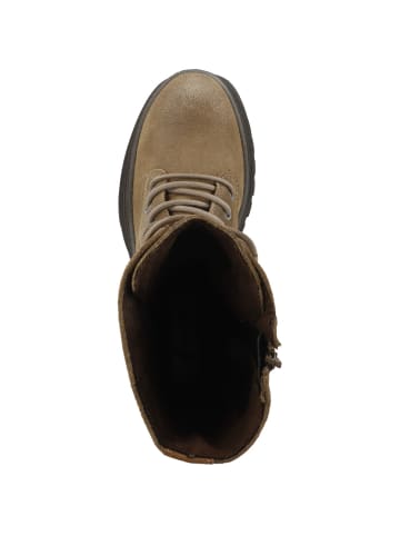 Steve Madden Boots Coast in beige