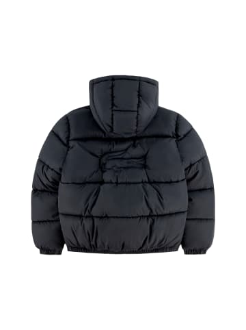 Lacoste Jacke in dunkelgrau