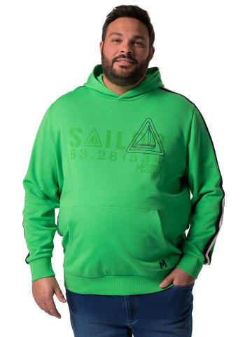 Men Plus Sweatshirt in petersilie