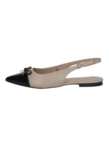 Caprice Ballerinas in Beige/Schwarz