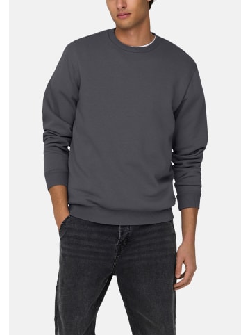 ONLY & SONS Sweatshirt Ceres in Dunkelgrau