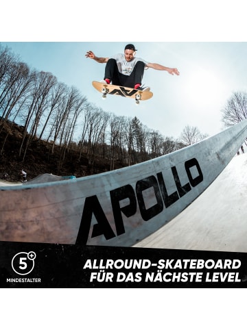 Apollo Skateboard Kinder und Erwachsene " Double A Board " in holz