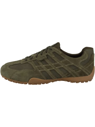 Geox Sneaker low U Snake Original in dunkelgruen