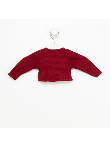 Tutto Piccolo Übergangsjacke in Bordeaux