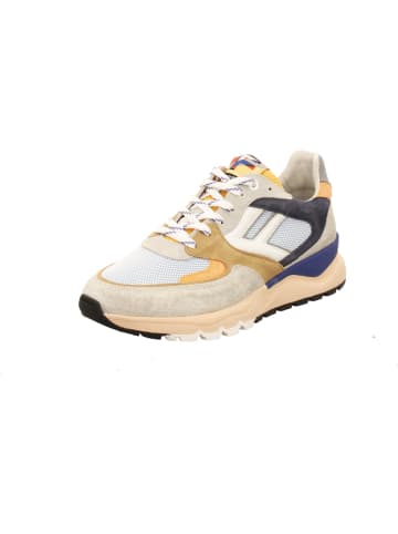 Floris van Bommel Sneaker Low in bunt