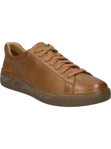 Josef Seibel Sneaker Cleve 02 in camel