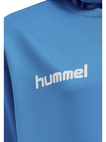 Hummel Hummel Poly Kapuzenpullover Hmlpromo Multisport Unisex Kinder in DIVA BLUE