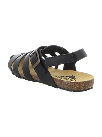 Plakton Römersandalen in Schwarz