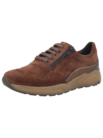 Solidus Damen- Schnürschuhe Kea - Weite K in Braun
