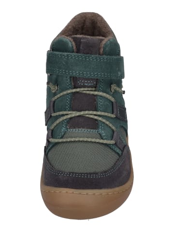 KOEL Sneaker High BEAU MERINO 2.0 in bunt