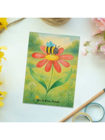 Mr. & Mrs. Panda Postkarte Hummel Blume Design ohne Spruch in Weiß
