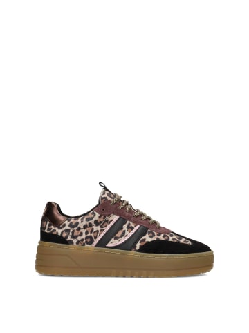 POELMAN Poelman ANEMONE Damen Sneaker