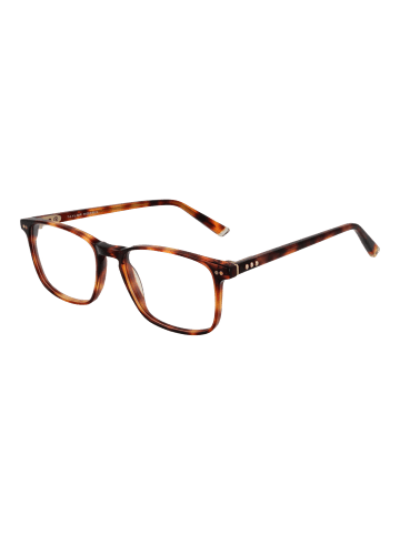 Taylor Morris Unisex Optische Fassungen Vollrandige Brille Braun
