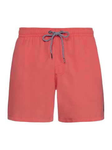 Protest " DAVEY in New Red