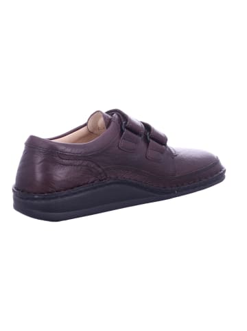 Finn Comfort Klettschuh in braun