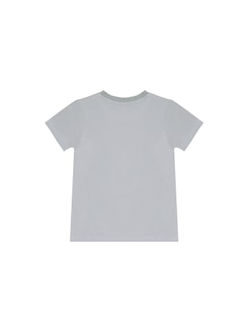 Denokids Set Dino Lui Baggy in grau