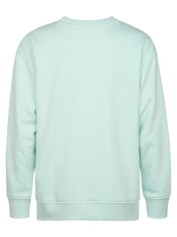 Petrol Industries Rundhals-Sweatshirt Coyote in Grün